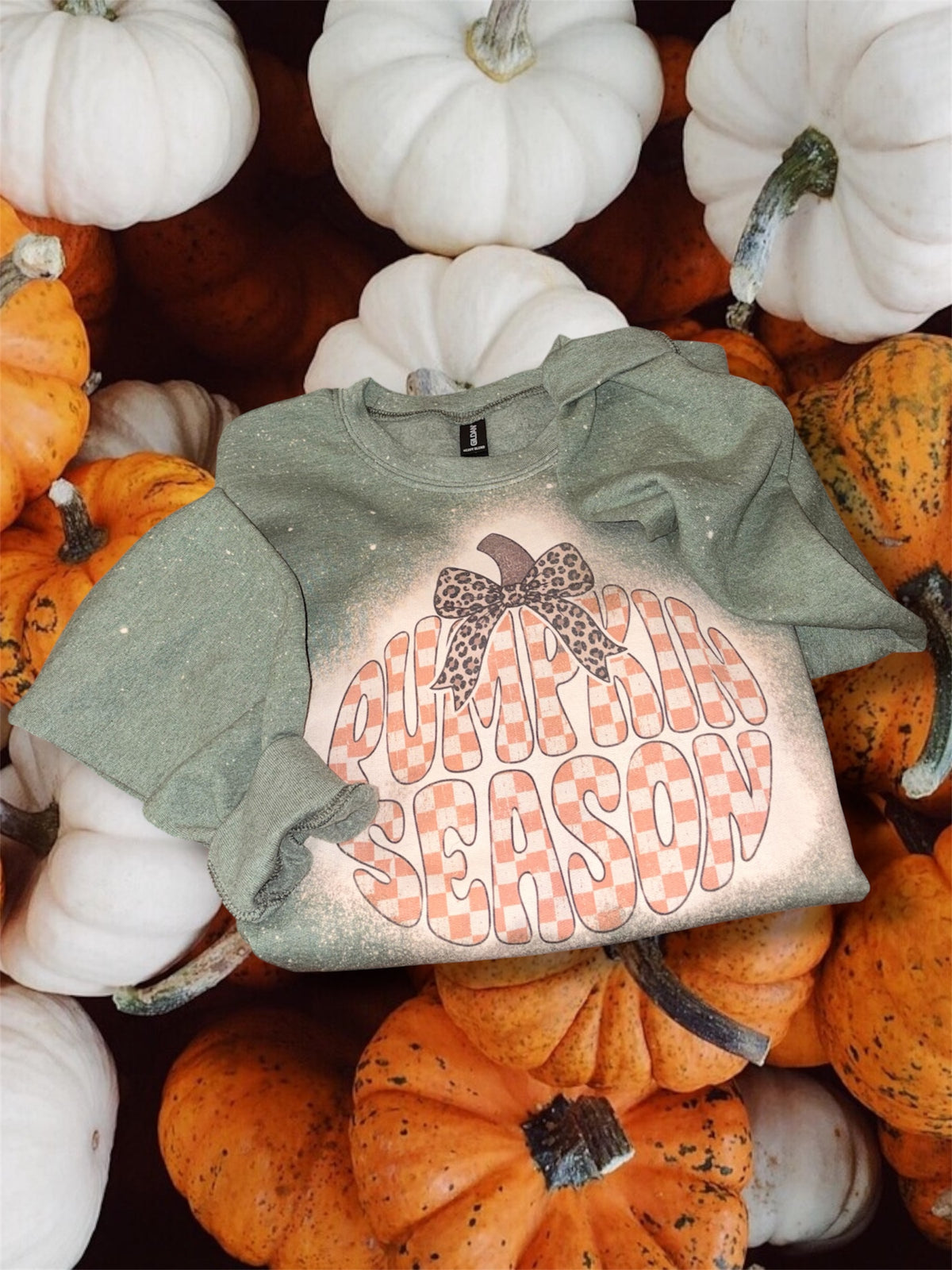 Pumpkin Season