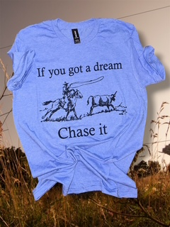 If you got a dream chase it